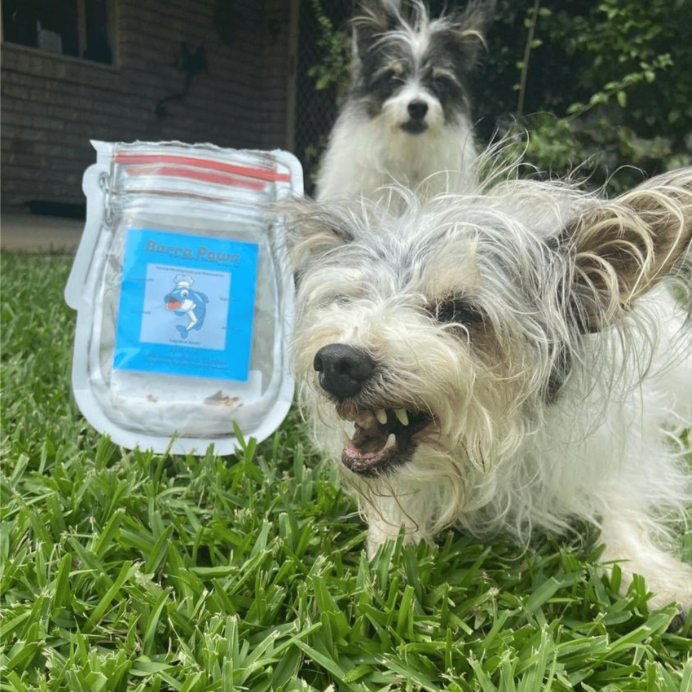 L'Barkery Barra Paws - Treats from L'Barkery at DoggyTopia