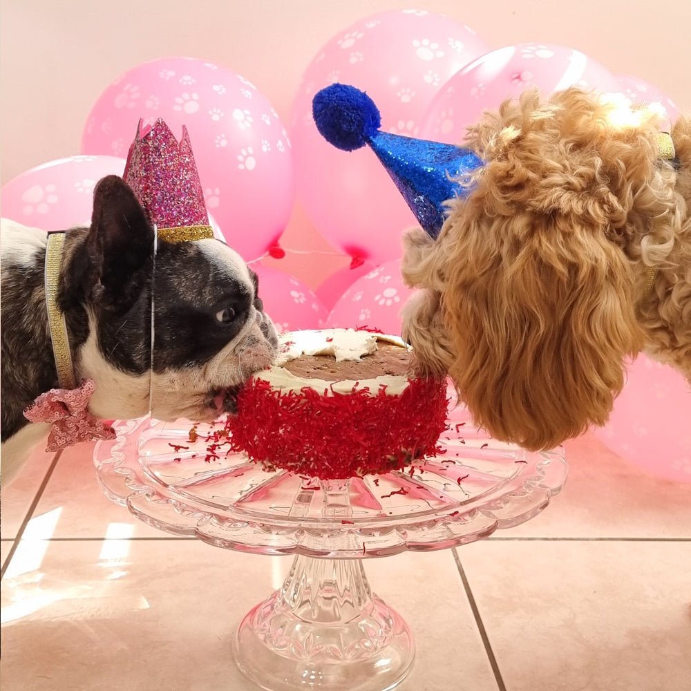 L'Barkery Beetroot & Coconut Cake Mix - Cake Mix from L'Barkery at DoggyTopia