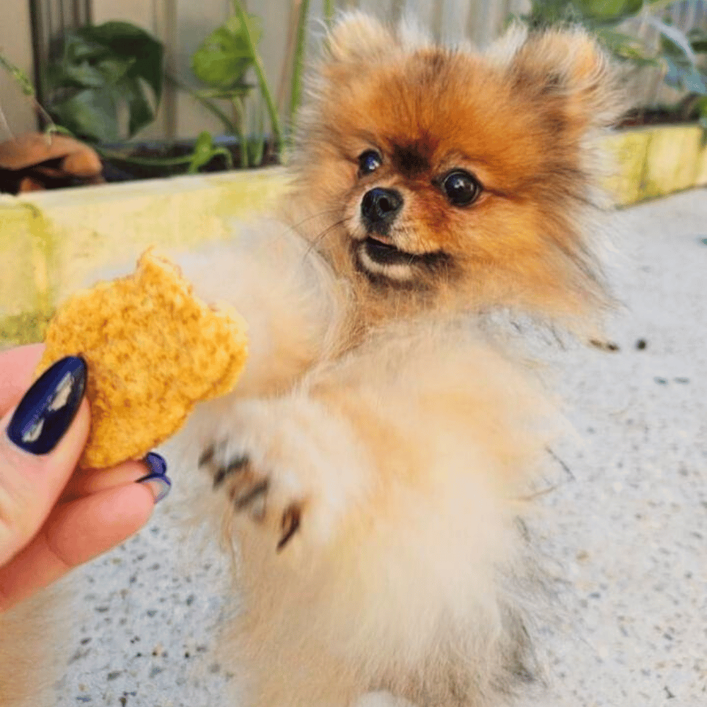 L'Barkery Chicken Nuggetz - Treats from L'Barkery at DoggyTopia