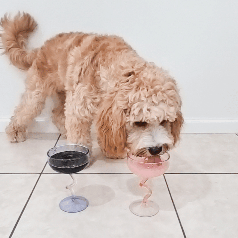 L'Barkery Cosmopawlitan - Beverages from L'Barkery at DoggyTopia