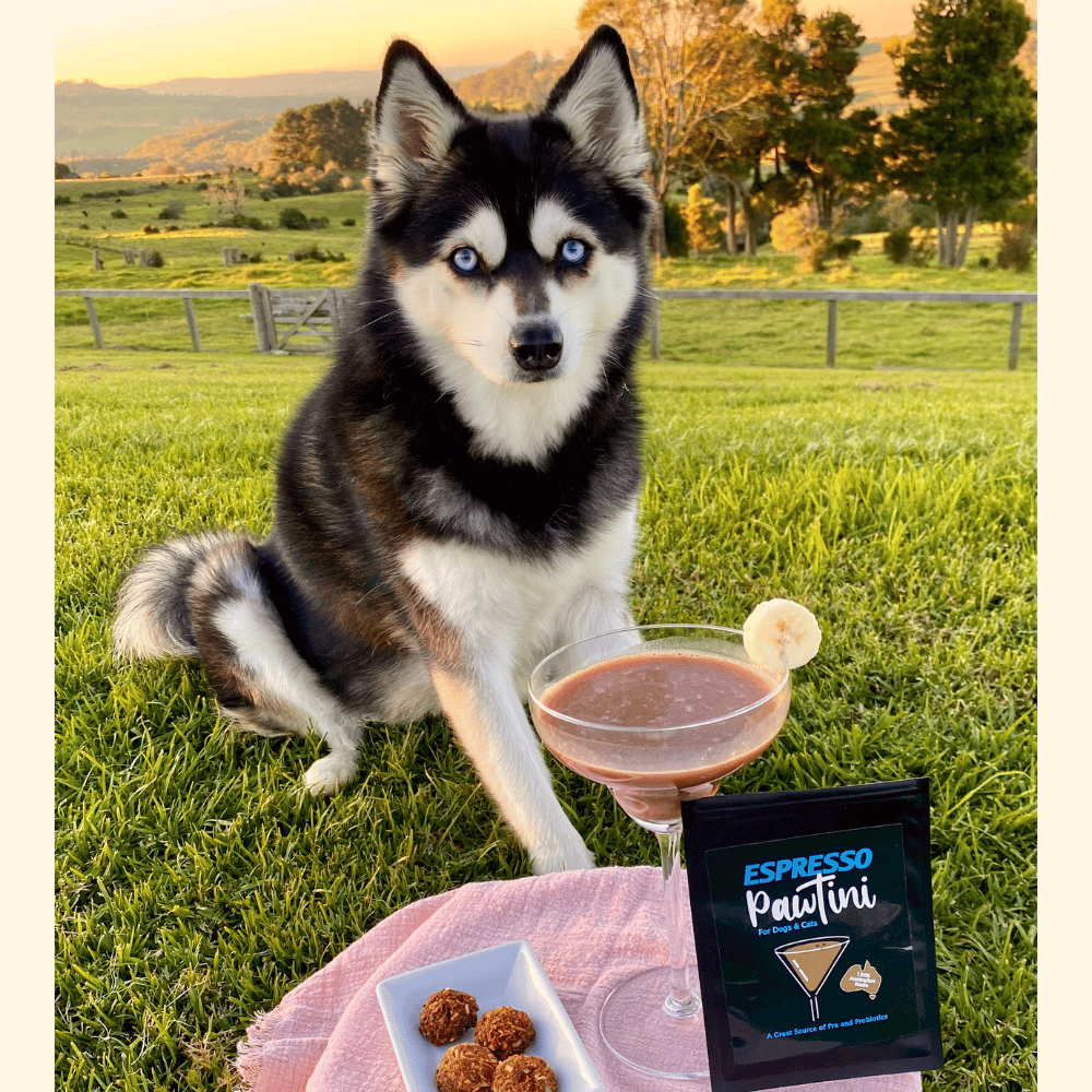 L'Barkery Espresso Pawtini - Beverages from L'Barkery at DoggyTopia