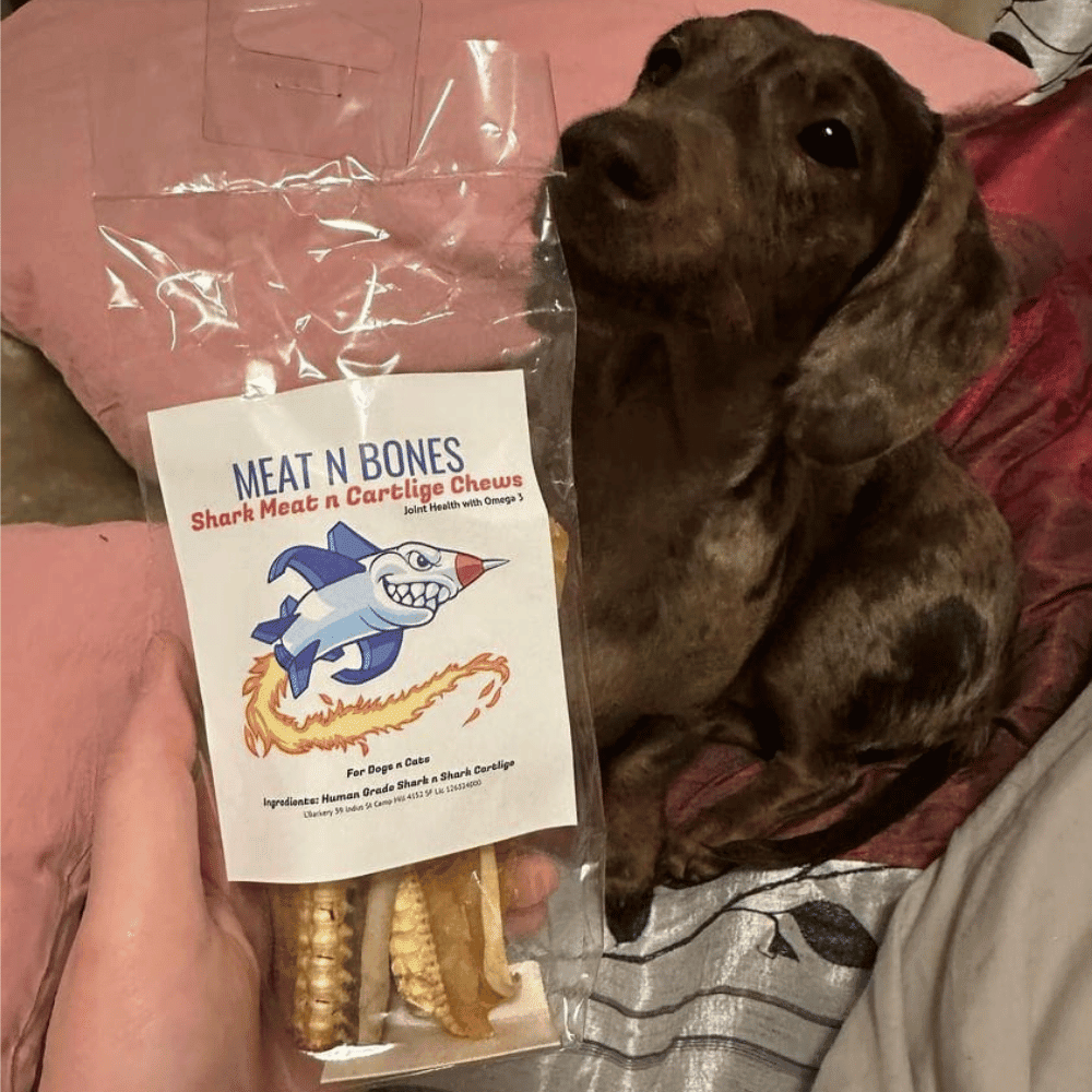 L'Barkery Meat n Bones - Shark Meat n Cartilage - Treats from L'Barkery at DoggyTopia