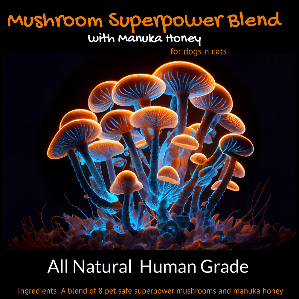 L'Barkery Mushroom Superpower Blend - Meal Topper from L'Barkery at DoggyTopia