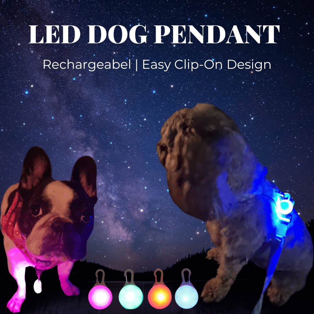 LED Dog Pendant Rechargeable - LED from . at DoggyTopia