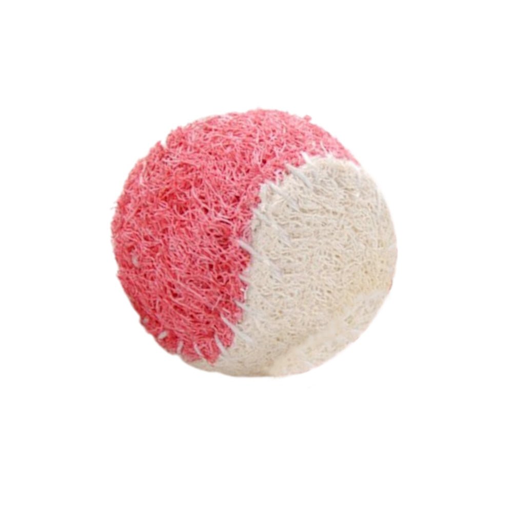 Loofah Ball Dental Toy - Large - Dental Toys from . at DoggyTopia