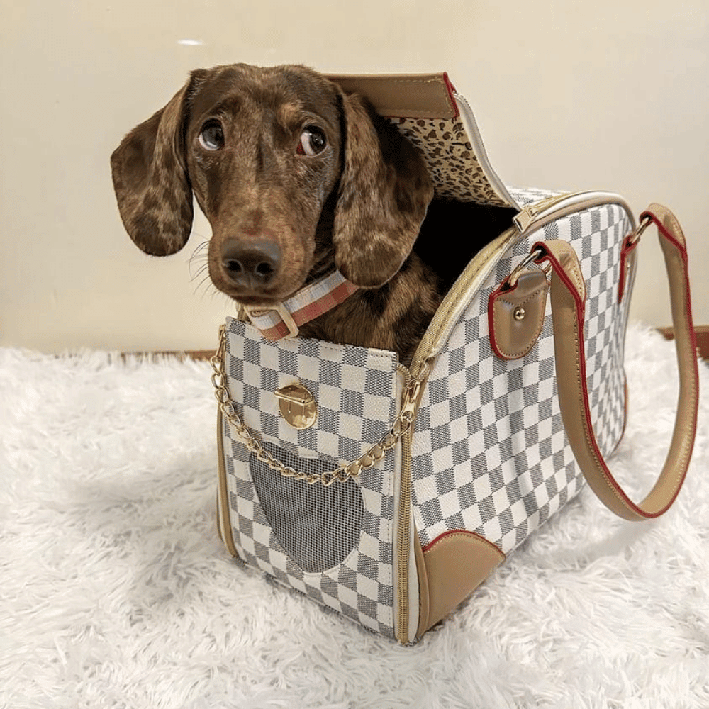 Luxe Checker Bowling Tote Dog Carrier - Dog Carriers from . at DoggyTopia
