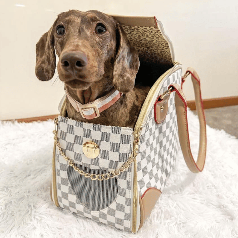 Luxe Checker Bowling Tote Dog Carrier - Dog Carriers from . at DoggyTopia