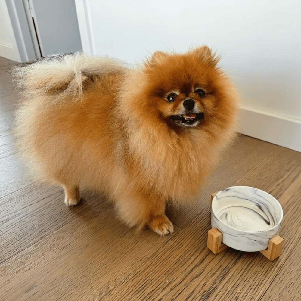 Marble Ceramic Bowl with Bamboo Stand - Bowls from . at DoggyTopia