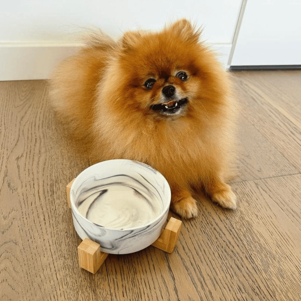 Marble Ceramic Bowl with Bamboo Stand - Bowls from . at DoggyTopia