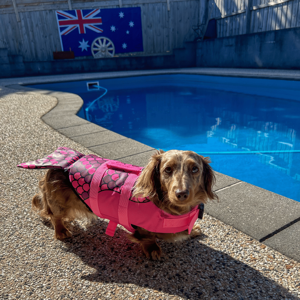 Mermaid Dog Life Jacket - Life Jackets from . at DoggyTopia