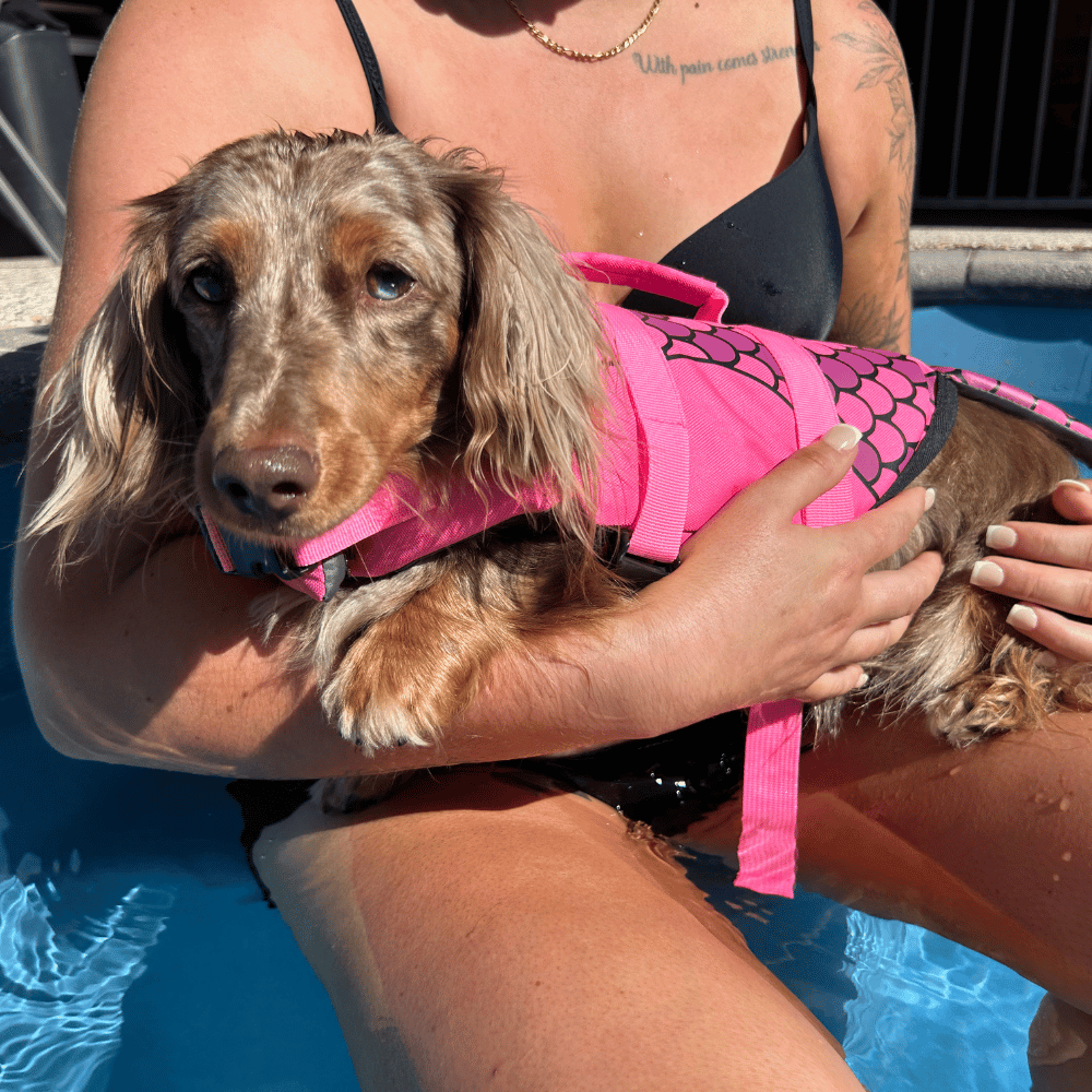 Mermaid Dog Life Jacket - Life Jackets from . at DoggyTopia