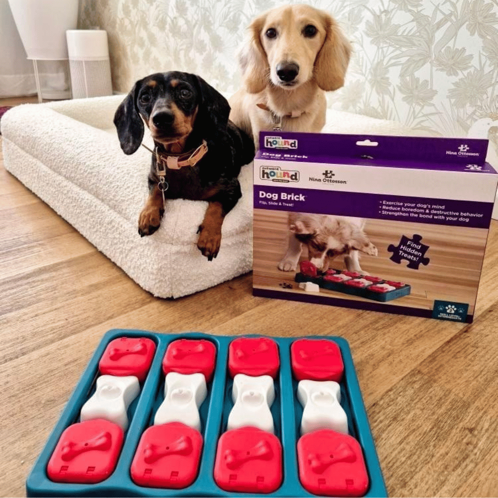 Nina Ottosson - Dog Brick - Puzzles from Nina Ottosson at DoggyTopia