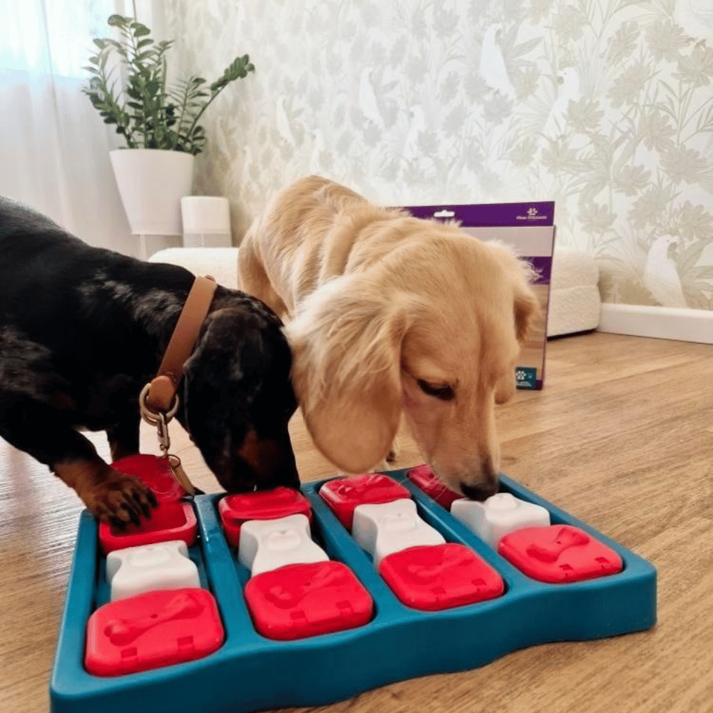 Nina Ottosson - Dog Brick - Puzzles from Nina Ottosson at DoggyTopia