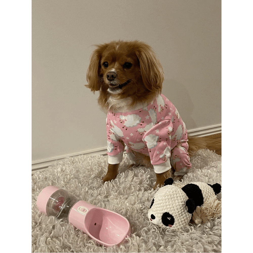 On - The - Go Water & Snack Bottle - Travel Bottles from . at DoggyTopia