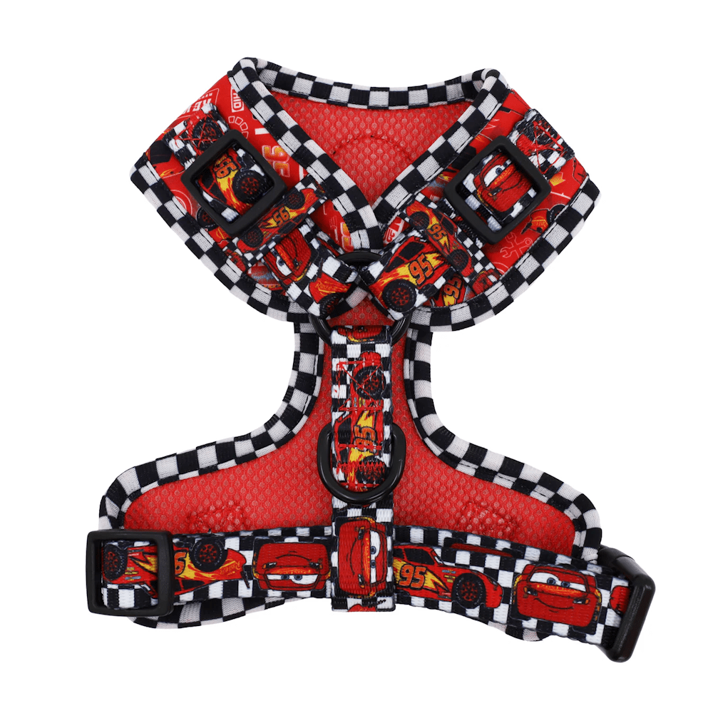 Pablo & Co Cars Adjustable Harness - Adjustable Harnesses from Pablo & Co Disney at DoggyTopia