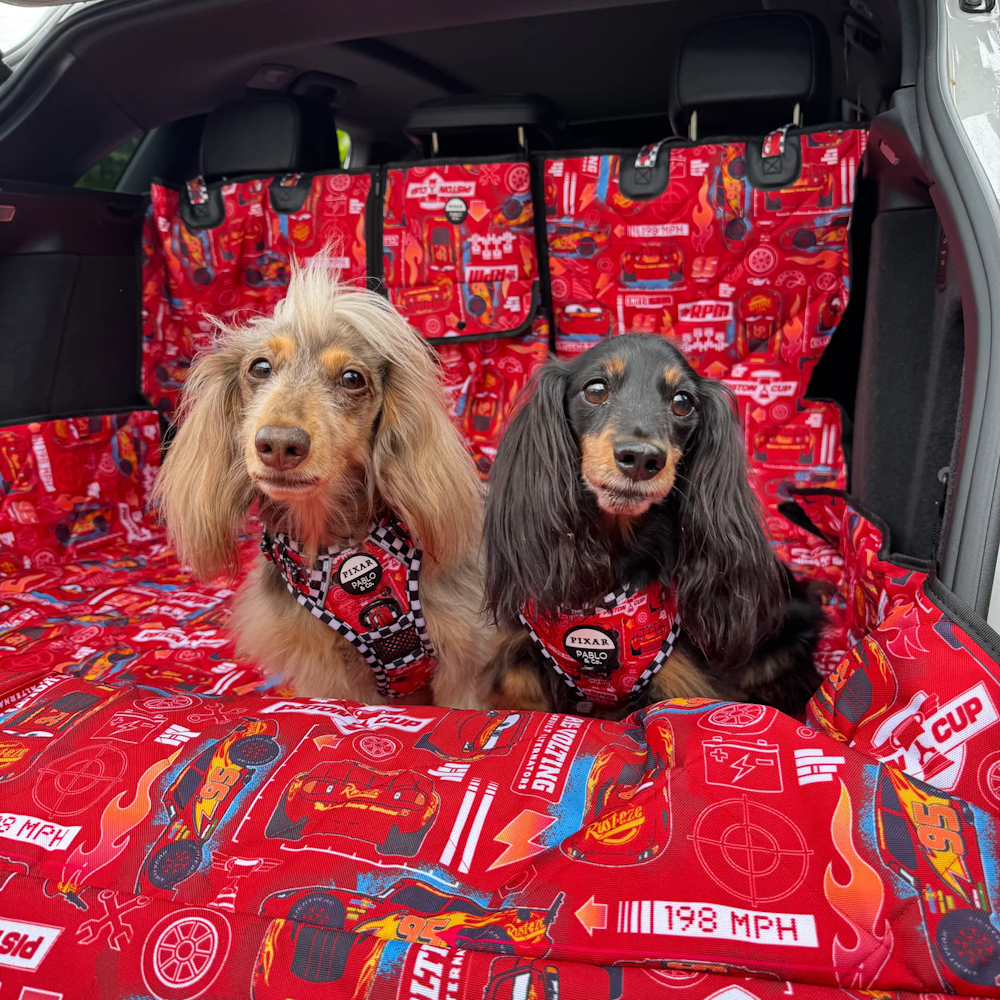 Pablo & Co Cars Deluxe Car Boot Cover - Car Boot Cover from Pablo & Co Disney at DoggyTopia