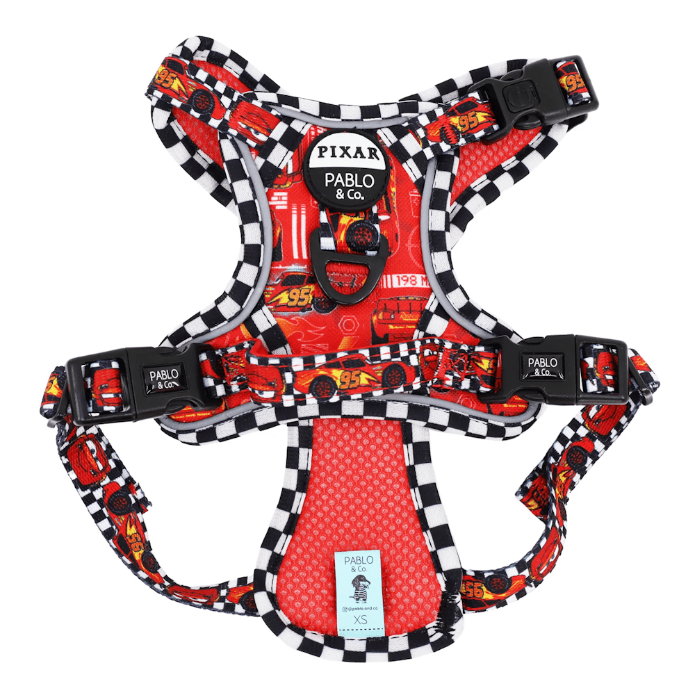 Pablo & Co Cars No Pull Adventure Harness - No Pull Harnesses from Pablo & Co at DoggyTopia