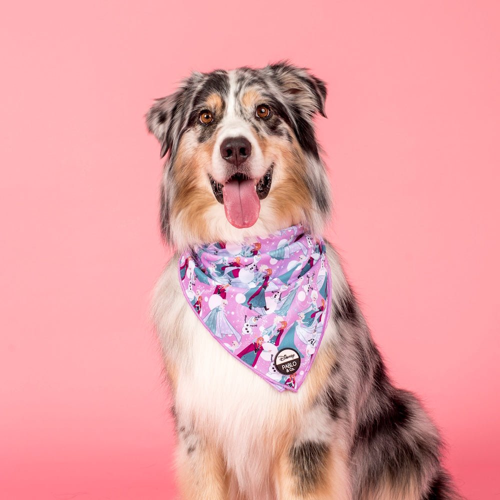 Pablo & Co: Frozen Dog Bandana - Bandanas from Sale at DoggyTopia