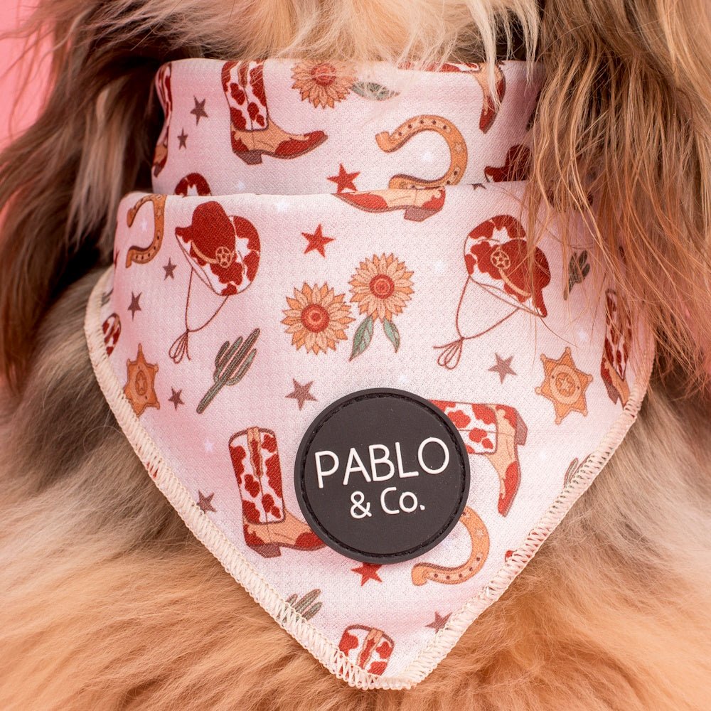 Pablo & Co Howdy Bandana - Bandanas from Pablo & Co at DoggyTopia