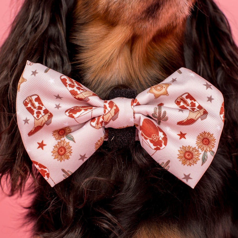 Pablo & Co Howdy Bow Tie - Bow Ties from Pablo & Co at DoggyTopia