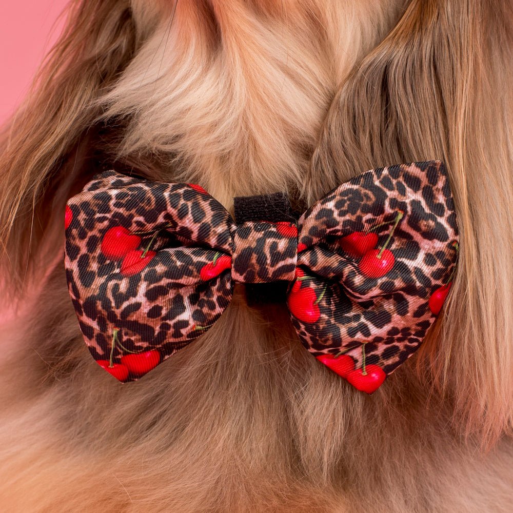 Pablo & Co Leopard Cherries Bow Tie - Bow Ties from Pablo & Co at DoggyTopia