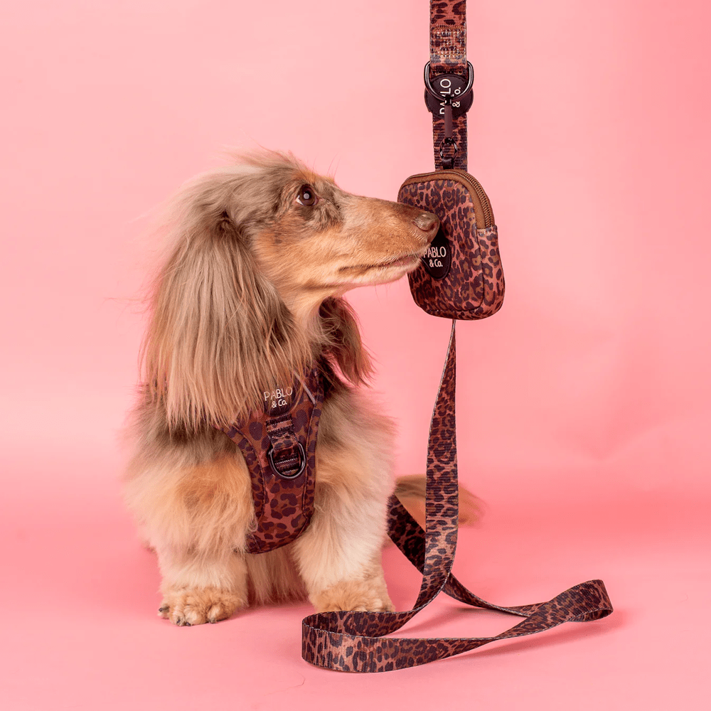 Pablo & Co Leopard Treat Pouch - Treat Pouchs from Pablo & Co at DoggyTopia
