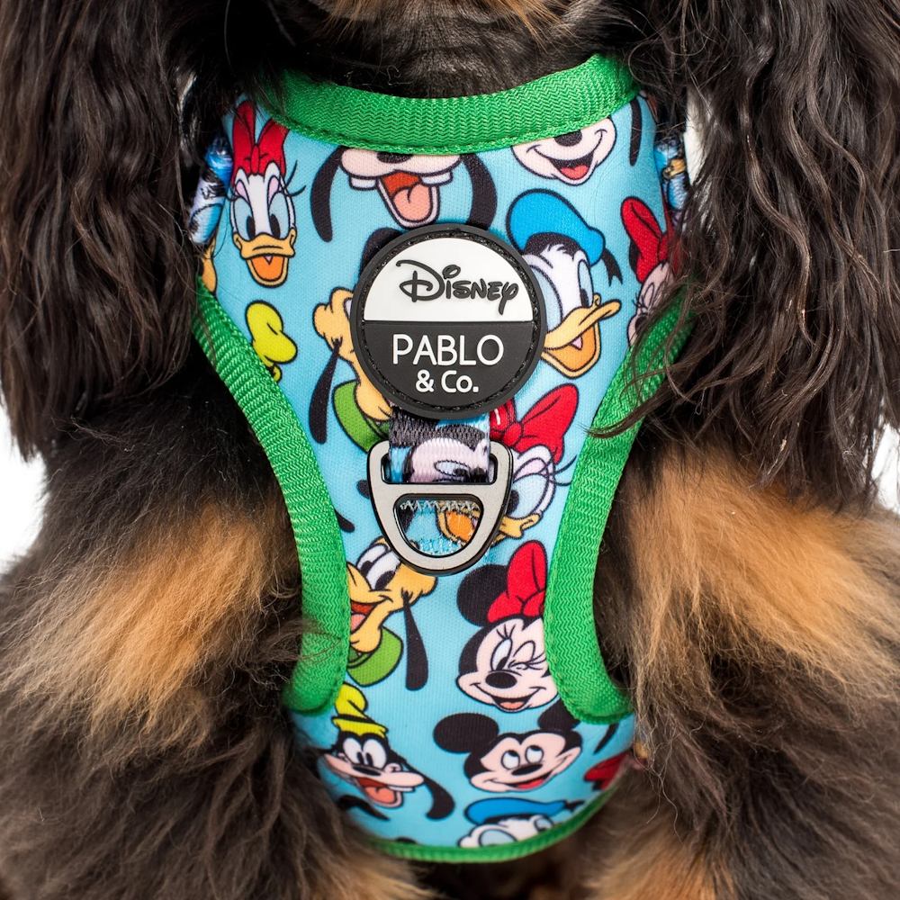 Pablo & Co Mickey & Friends: Adjustable Harness - Blue - Adjustable Harnesses from Sale at DoggyTopia