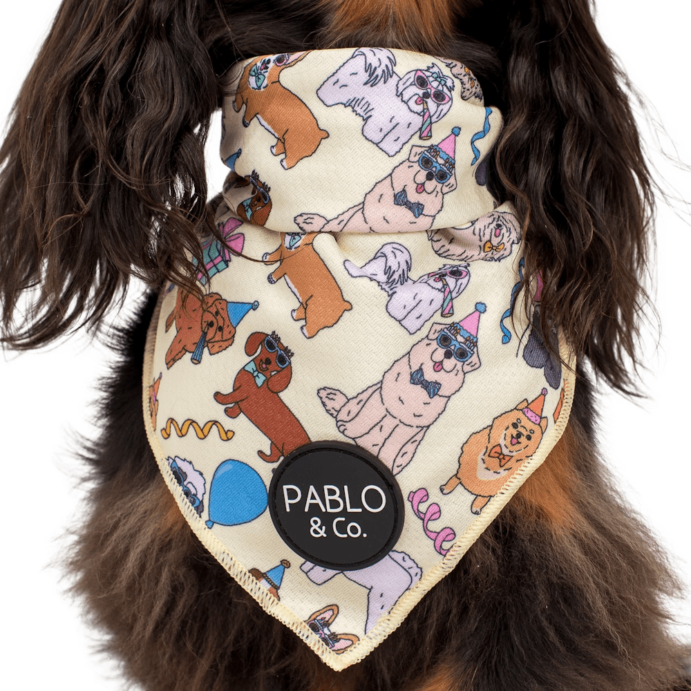 Pablo & Co Party Dawgs Bandana - Bandanas from Pablo & Co at DoggyTopia
