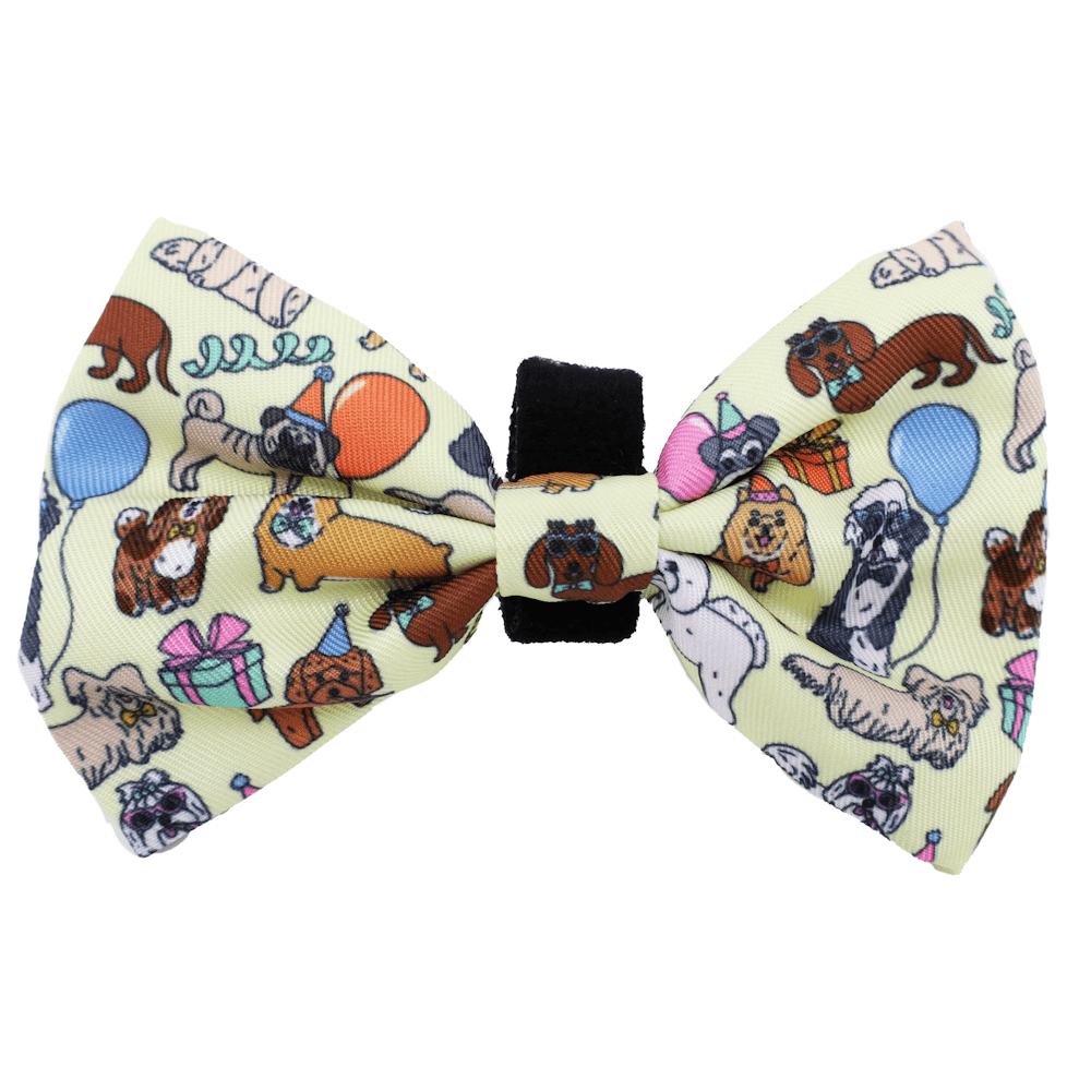 Pablo & Co Party Dawgs Bow Tie - Bow Ties from Pablo & Co at DoggyTopia