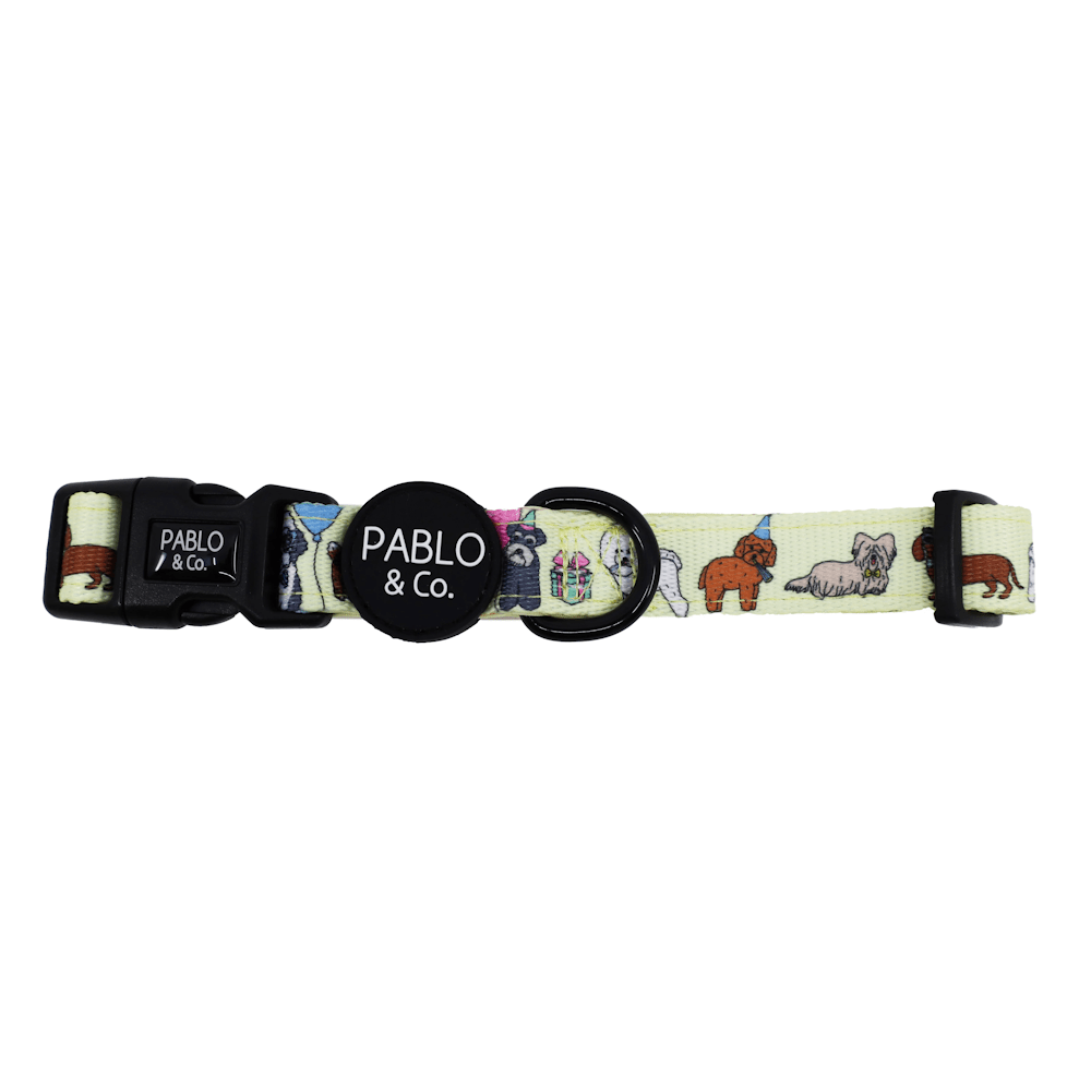 Pablo & Co Party Dawgs Dog Collar - Collars from Pablo & Co at DoggyTopia