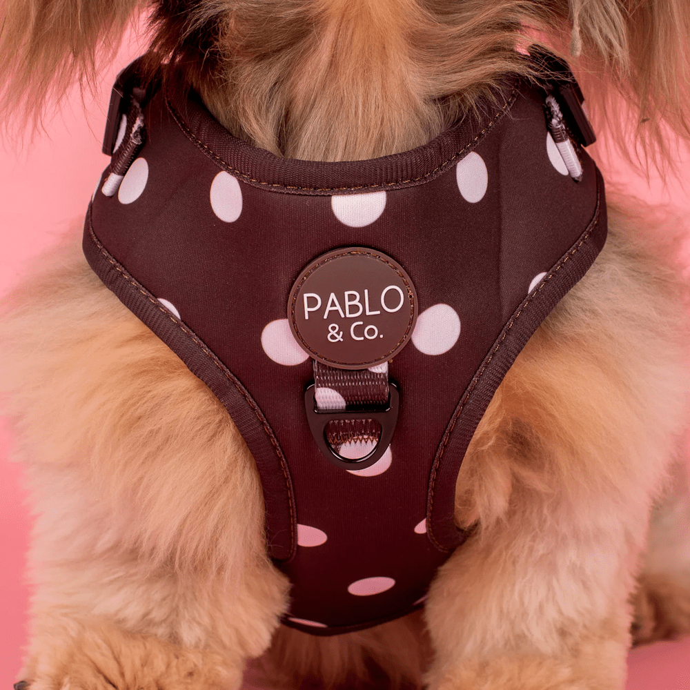 Pablo & Co Polka Dots Adjustable Harness - Adjustable Harnesses from Pablo & Co at DoggyTopia