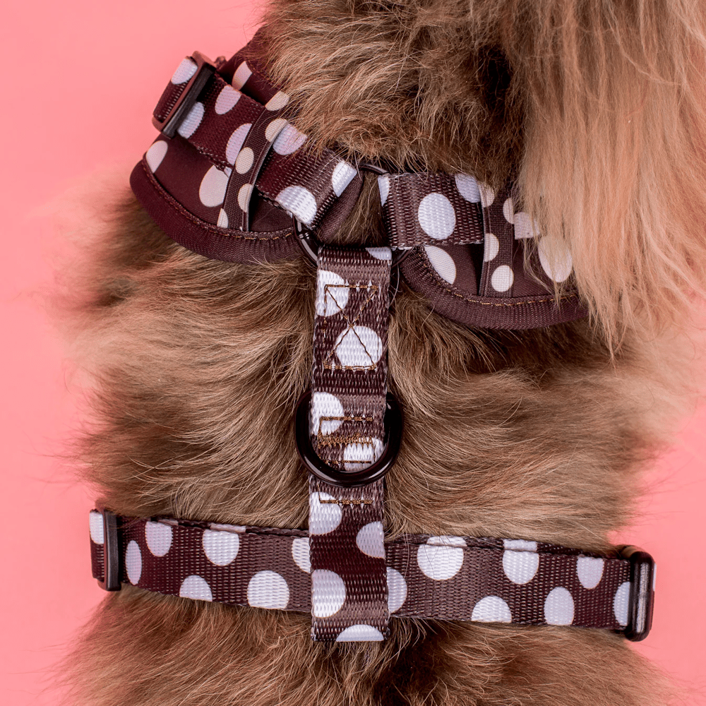 Pablo & Co Polka Dots Adjustable Harness - Adjustable Harnesses from Pablo & Co at DoggyTopia