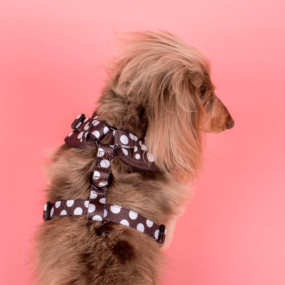 Pablo & Co Polka Dots Adjustable Harness - Adjustable Harnesses from Pablo & Co at DoggyTopia