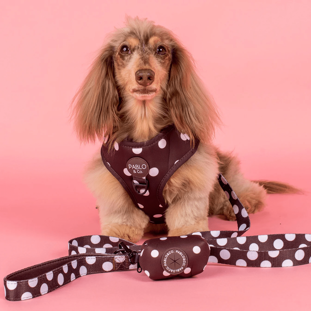 Pablo & Co Polka Dots Poop Bag Holder - Poop Bag Holders from Pablo & Co at DoggyTopia