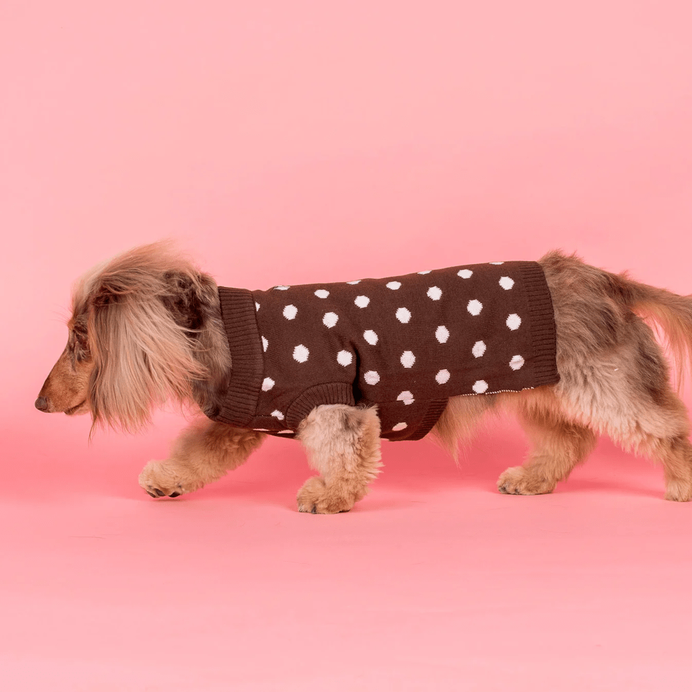 Pablo & Co Polka Dots Sweater - Knit Jumpers from Pablo & Co at DoggyTopia
