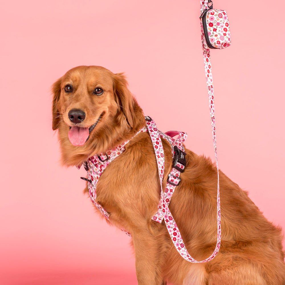 Pablo & Co Primrose Poop Bag Holder - Poop Bag Holders from Pablo & Co at DoggyTopia