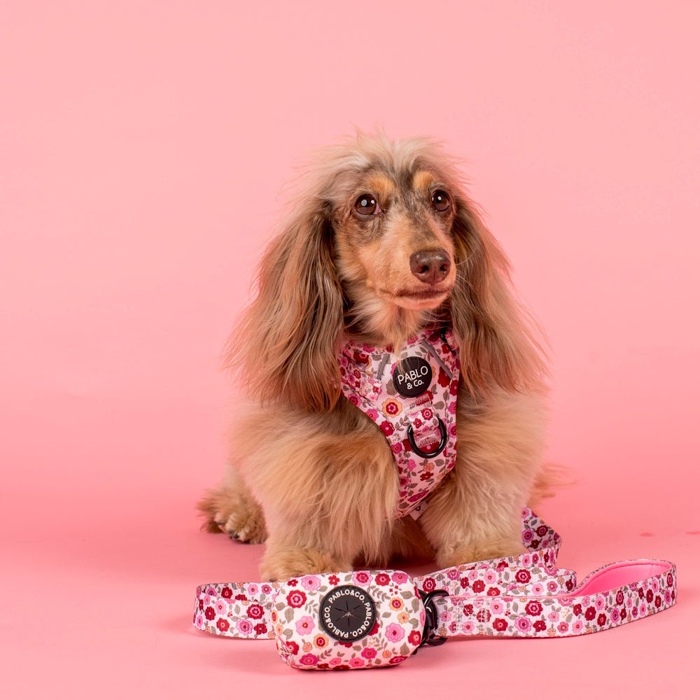 Pablo & Co Primrose Poop Bag Holder - Poop Bag Holders from Pablo & Co at DoggyTopia