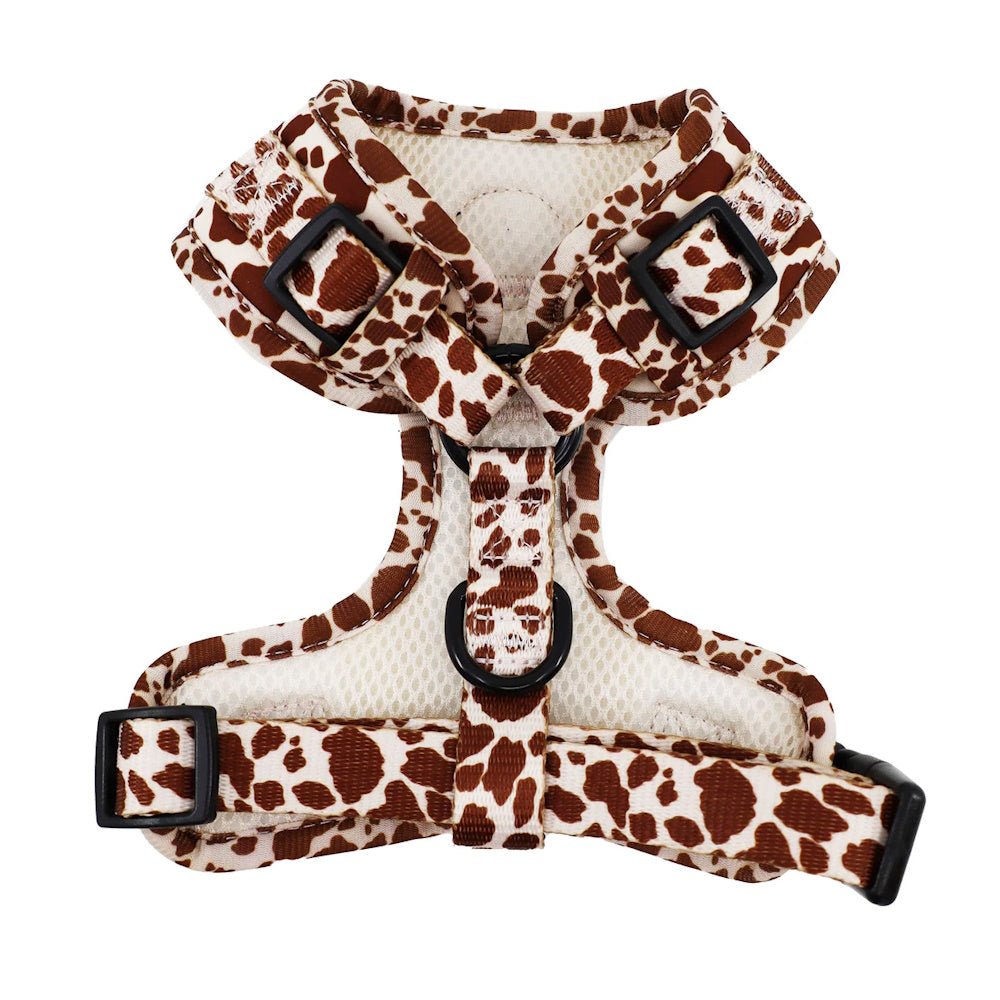 Pablo & Co Rodeo Adjustable Harness - Adjustable Harnesses from Pablo & Co at DoggyTopia