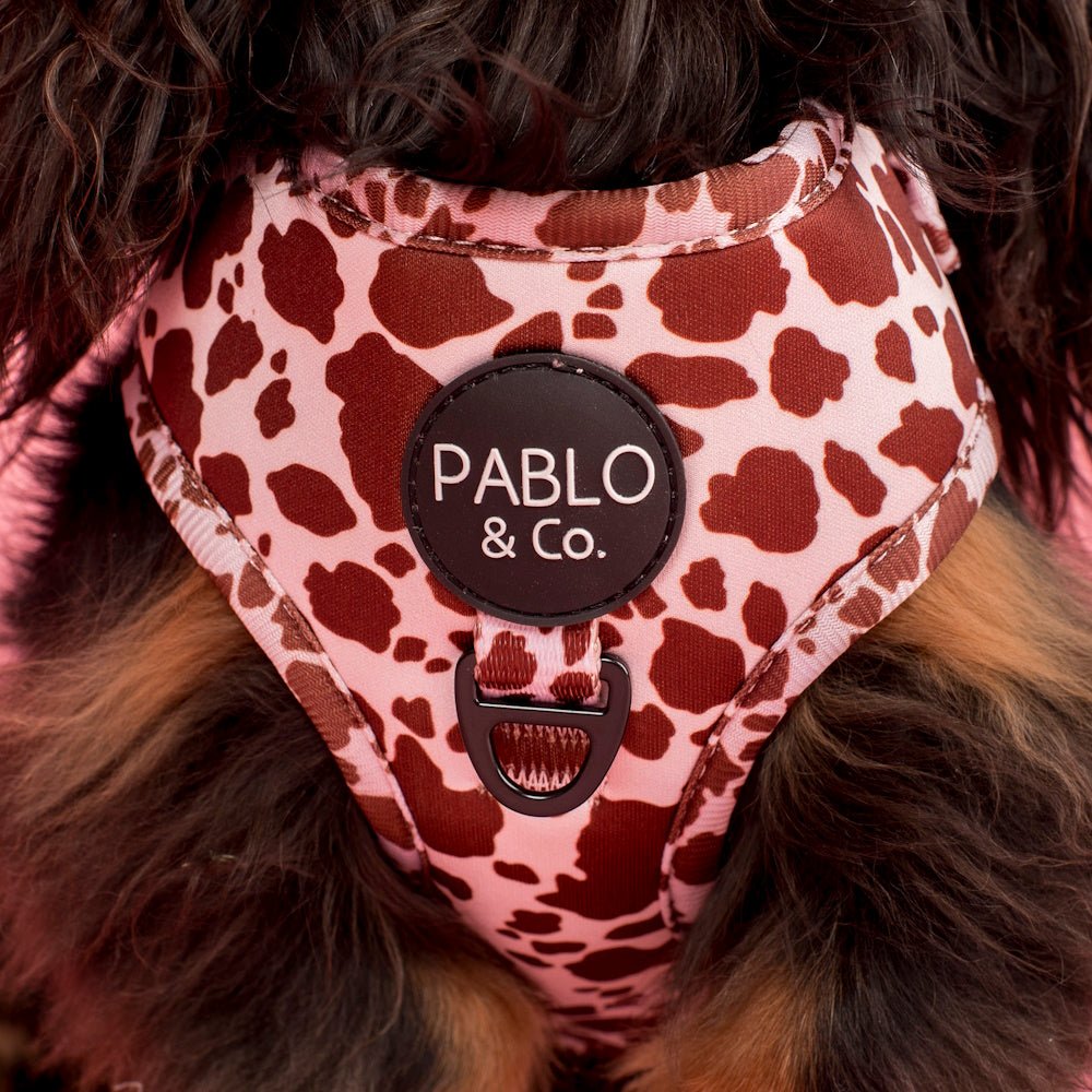 Pablo & Co Rodeo Adjustable Harness - Adjustable Harnesses from Pablo & Co at DoggyTopia