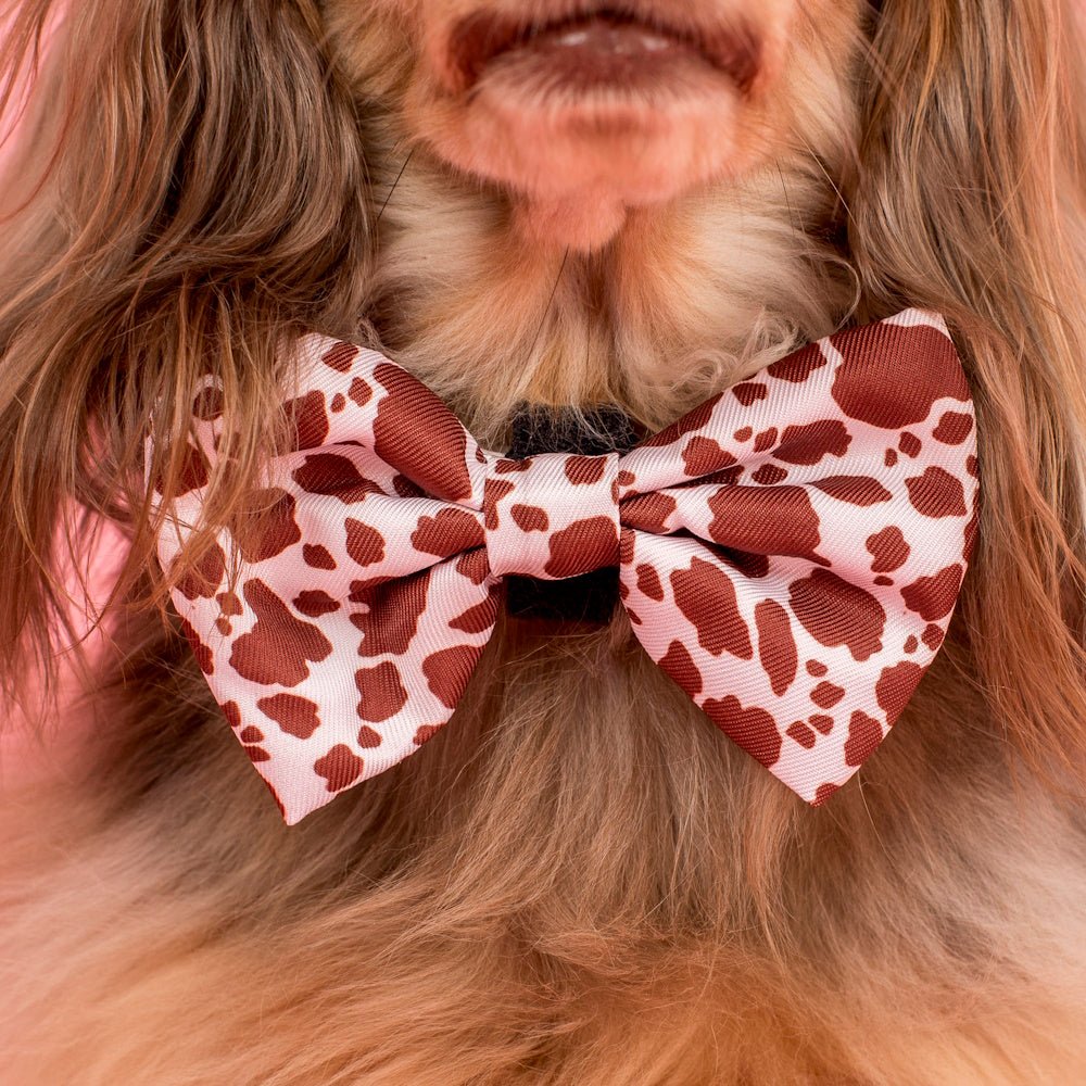 Pablo & Co Rodeo Bow Tie - Bow Ties from Pablo & Co at DoggyTopia