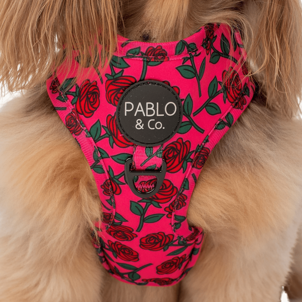 Pablo & Co Rosie Adjustable Harness - Adjustable Harnesses from Sale at DoggyTopia