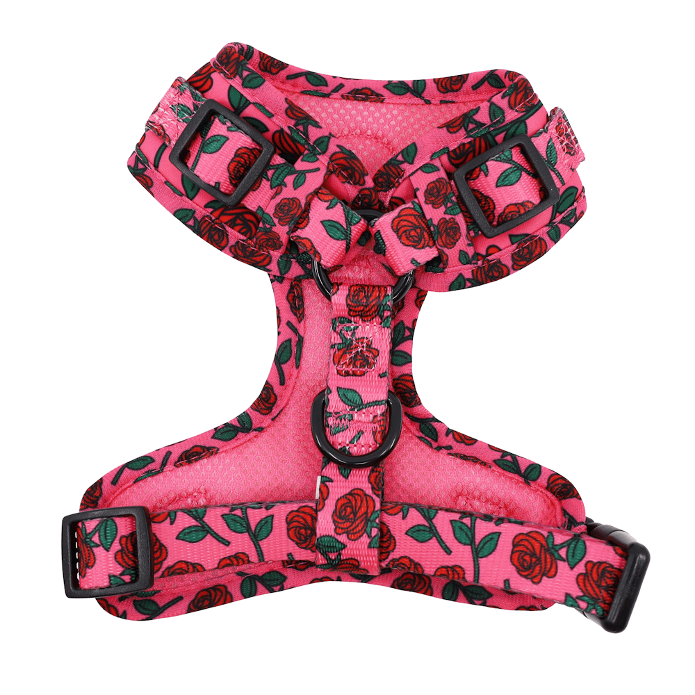 Pablo & Co Rosie Adjustable Harness - Adjustable Harnesses from Sale at DoggyTopia