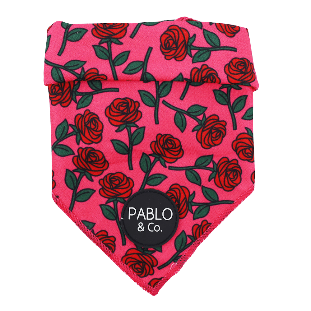 Pablo & Co Rosie Bandana - Bandanas from Sale at DoggyTopia
