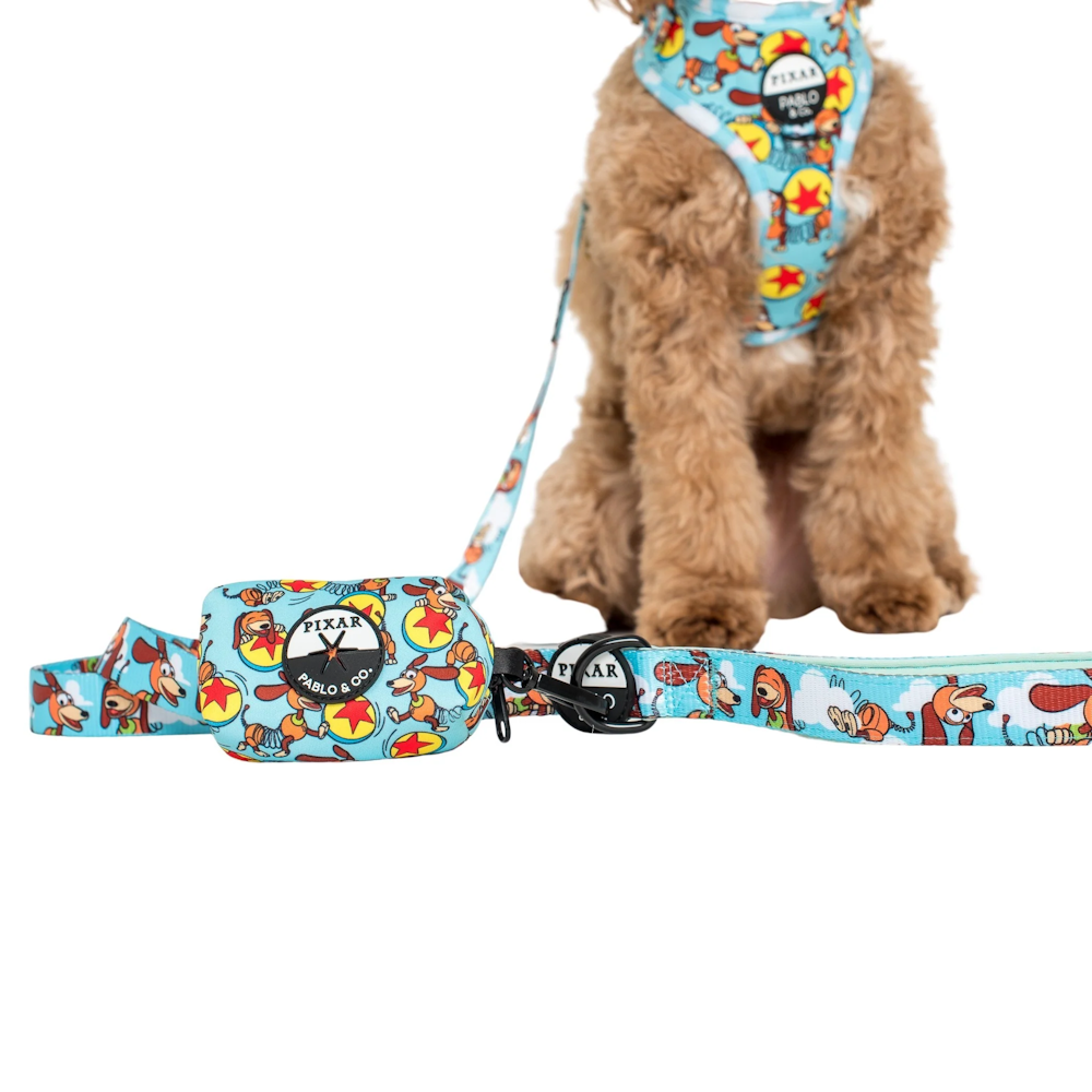 Pablo & Co Toy Story - Slinky Dog: Poop Bag Holder - Poop Bag Holders from Pablo & Co Disney at DoggyTopia