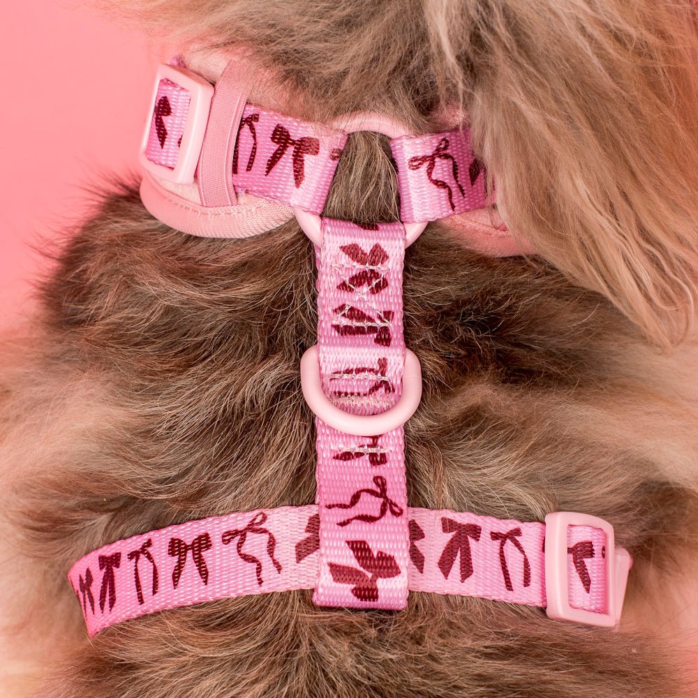 Pablo & Co Velvet Blush Bows Adjustable Harness - Adjustable Harnesses from Pablo & Co at DoggyTopia
