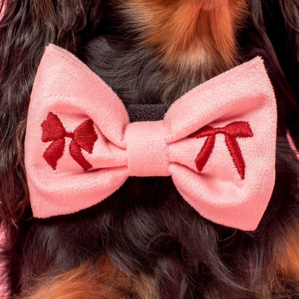 Pablo & Co Velvet Blush Bows Bow Tie - Bow Ties from Pablo & Co at DoggyTopia