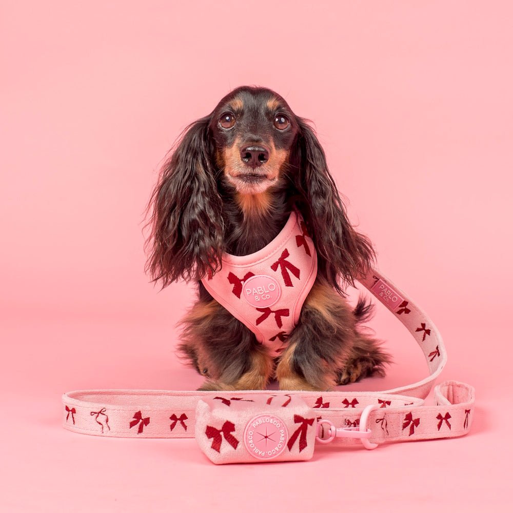 Pablo & Co Velvet Blush Bows Poop Bag Holder - Poop Bag Holders from Pablo & Co at DoggyTopia