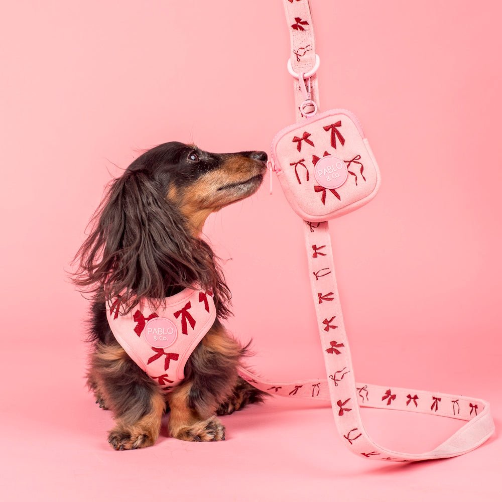 Pablo & Co Velvet Blush Bows Treat Pouch - Treat Pouchs from Pablo & Co at DoggyTopia