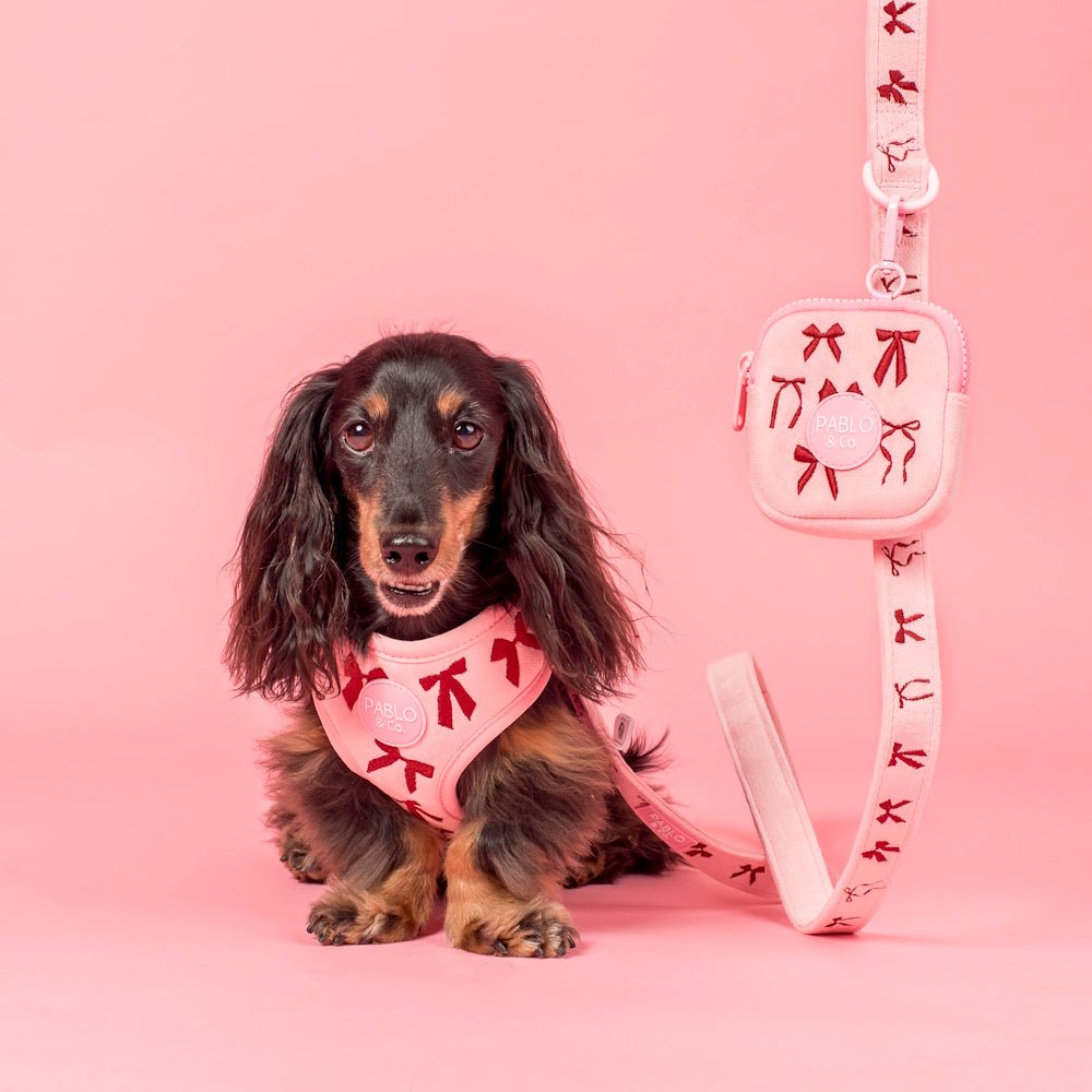 Pablo & Co Velvet Blush Bows Treat Pouch - Treat Pouchs from Pablo & Co at DoggyTopia