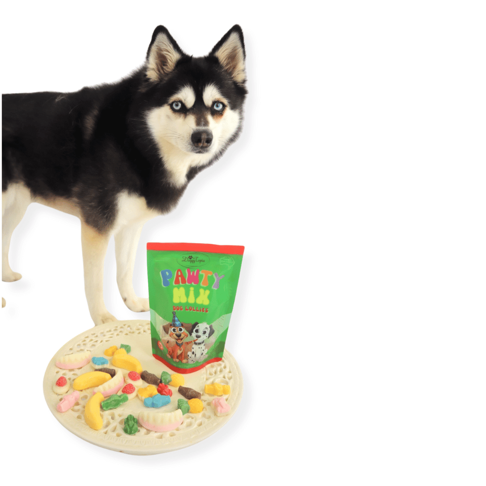 Pawty Mix Dog Lollies - Lollies from DoggyTopia at DoggyTopia